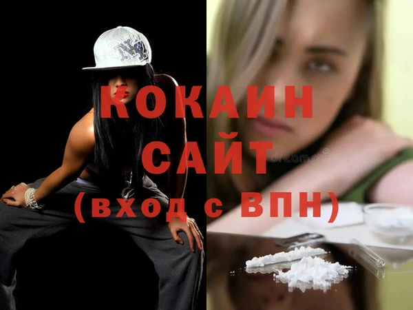 индика Осташков