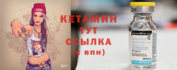 индика Осташков