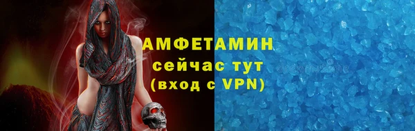 индика Осташков