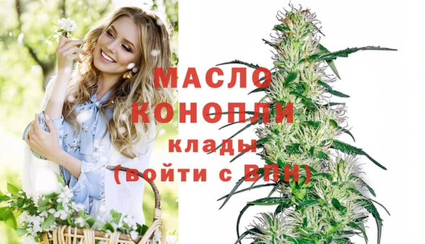 индика Осташков