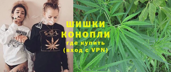 индика Осташков