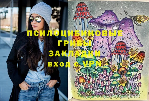индика Осташков