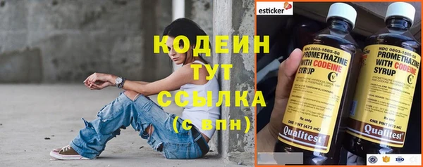 индика Осташков