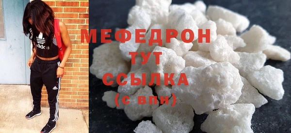 индика Осташков
