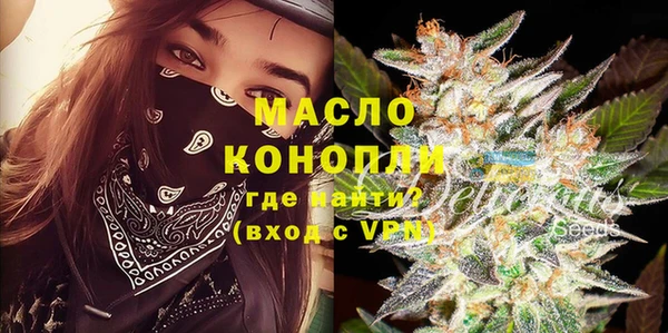 индика Осташков
