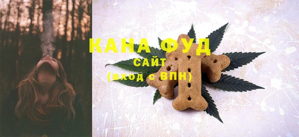 индика Осташков