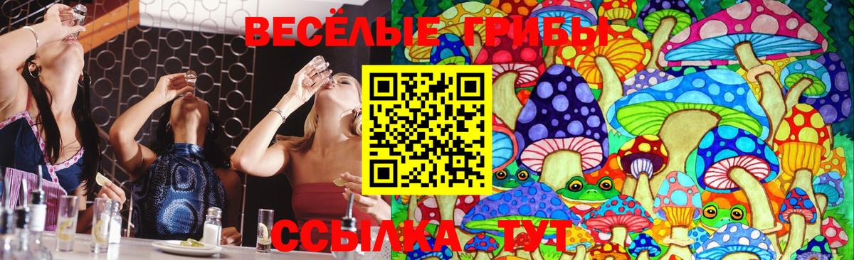 Псилоцибиновые грибы прущие грибы Нурлат