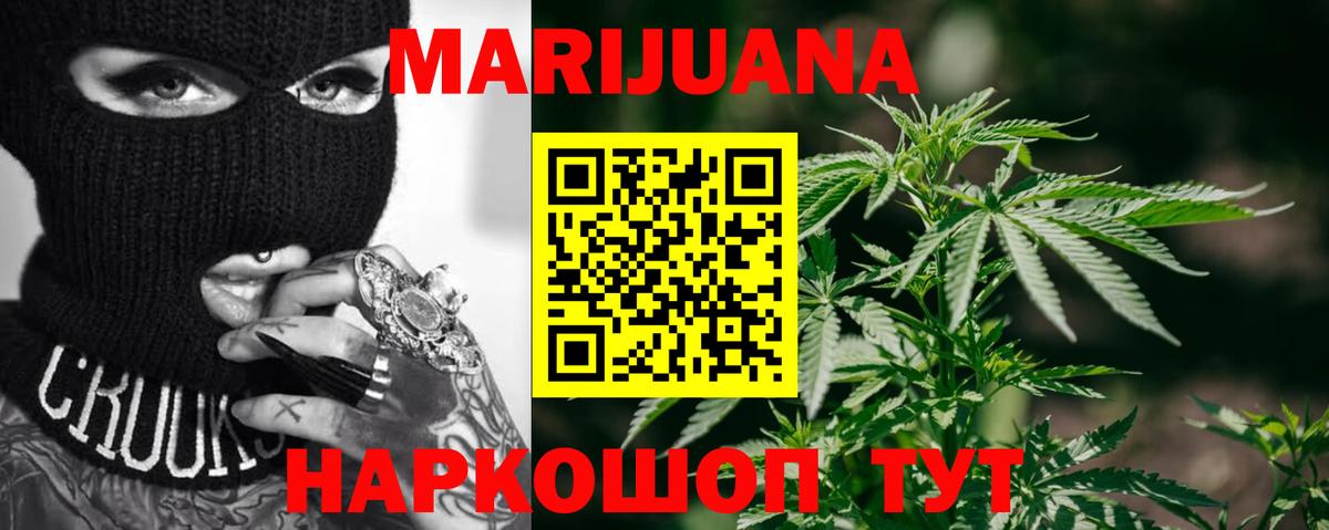 Канабис сатива Нурлат